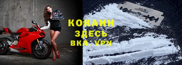 прущая мука Дмитровск