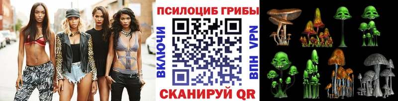 Псилоцибиновые грибы Psilocybine cubensis  Купить  Николаевск-на-Амуре 